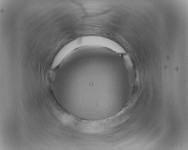 X0000070400045200606302022