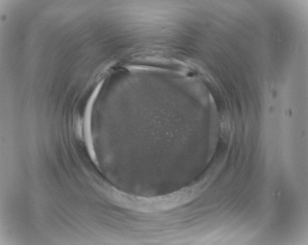 X0000070400046200606302022