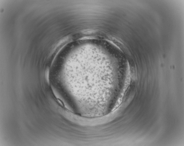 X0000070400047200606302022