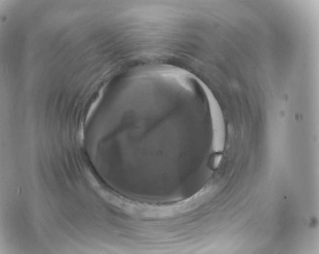 X0000070400048200606302022