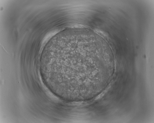 X0000070400049200606302021