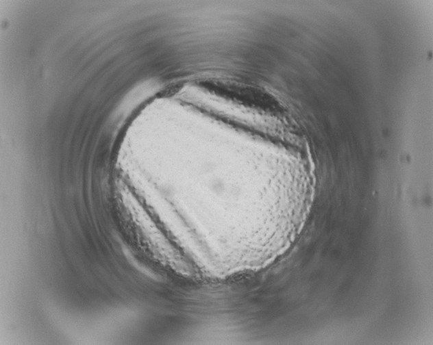 X0000070400050200606302021