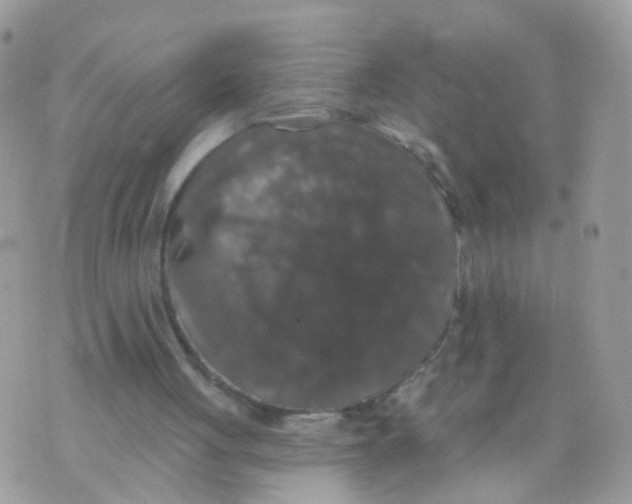 X0000070400051200606302021