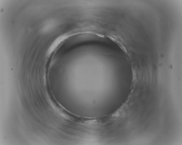 X0000070400054200606302021