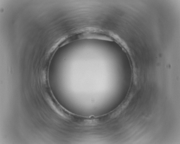 X0000070400057200606302021