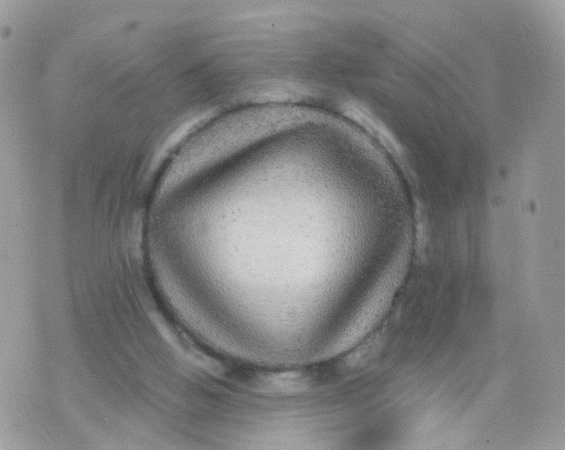 X0000070400058200606302021