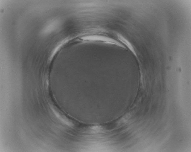 X0000070400059200606302021