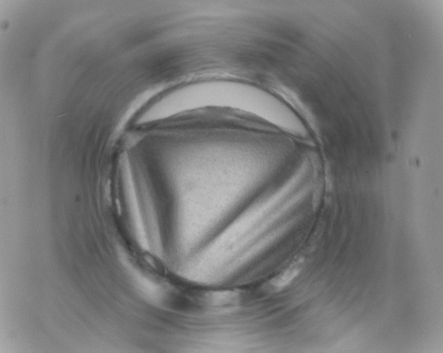 X0000070400060200606302021