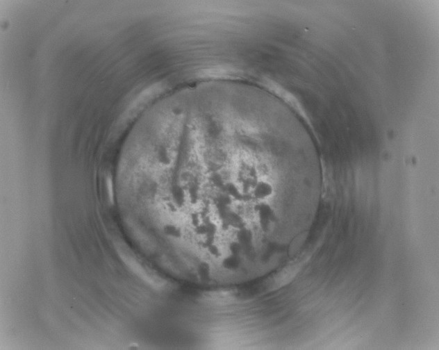 X0000070400061200606302021