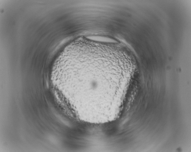 X0000070400062200606302021