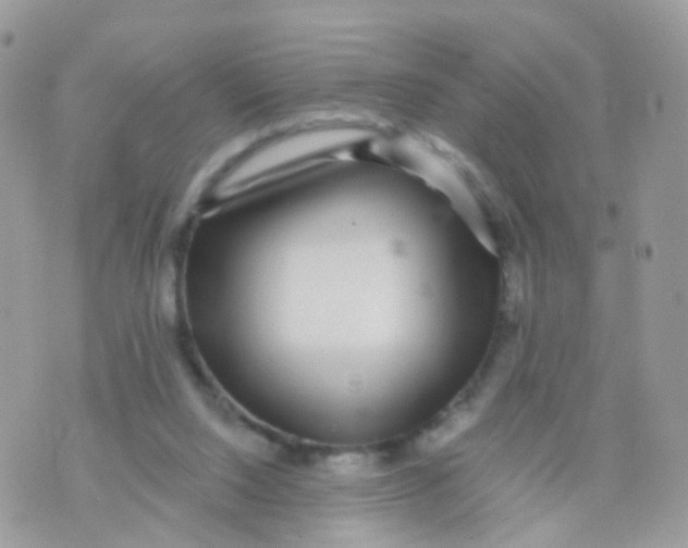 X0000070400064200606302021