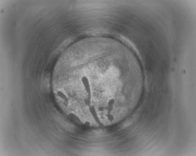 X0000070400065200606302022