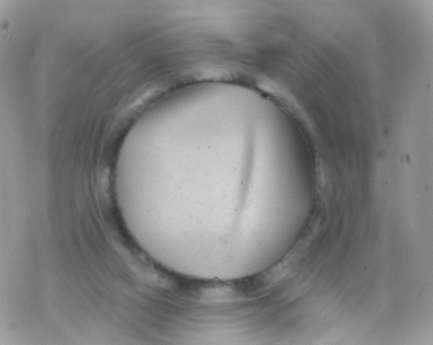 X0000070400066200606302022