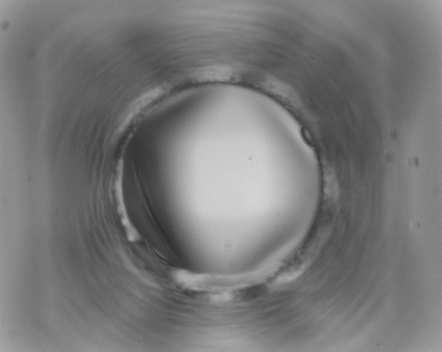 X0000070400068200606302022