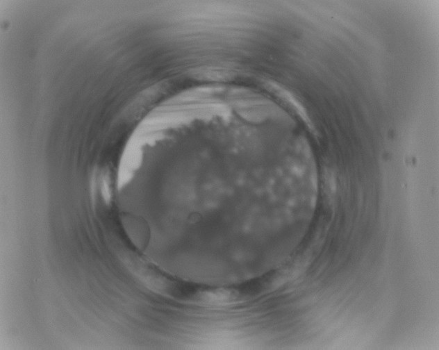 X0000070400069200606302022