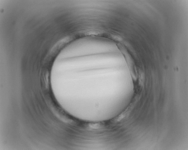 X0000070400070200606302022