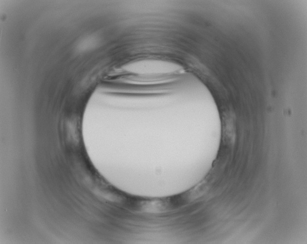 X0000070400074200606302022