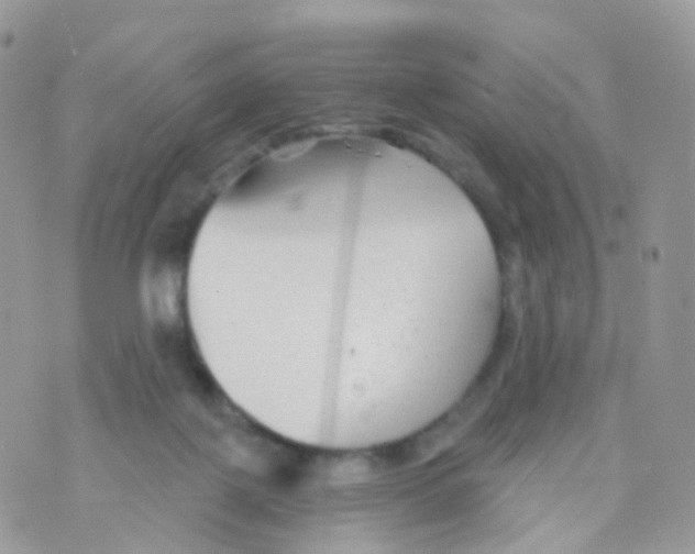 X0000070400075200606302022