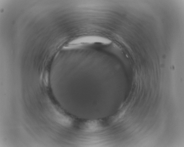 X0000070400076200606302022