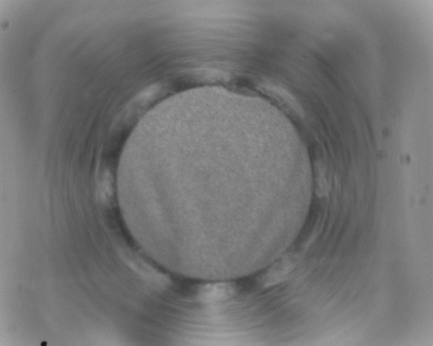 X0000070400077200606302022