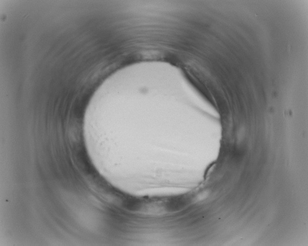 X0000070400078200606302022