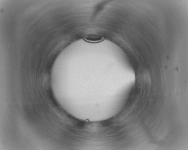 X0000070400079200606302022