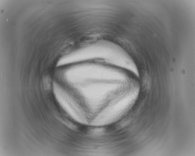 X0000070400081200606302022