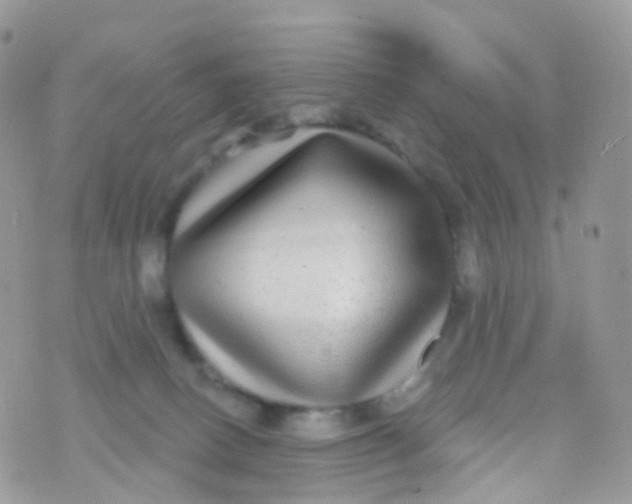 X0000070400082200606302022