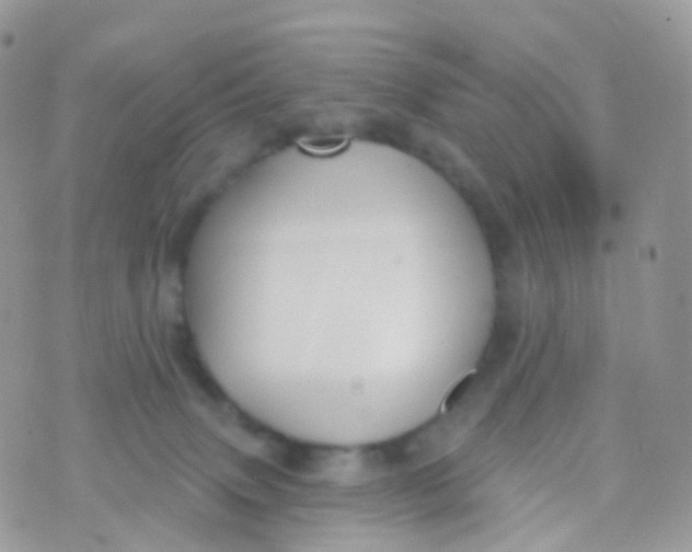 X0000070400083200606302022