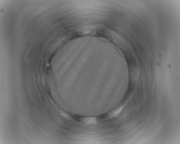 X0000070400085200606302022