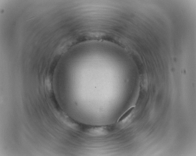 X0000070400086200606302022