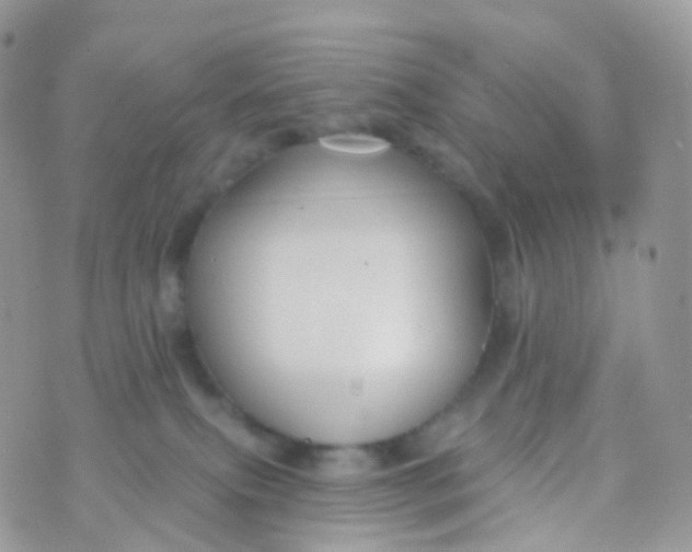 X0000070400087200606302022