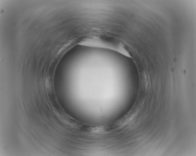 X0000070400088200606302022