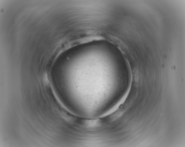 X0000070400089200606302022