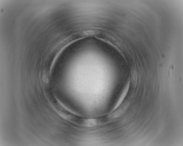 X0000070400091200606302022