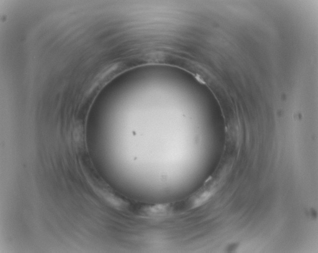 X0000070400092200606302022