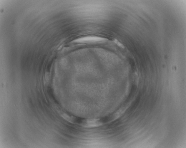 X0000070400093200606302022