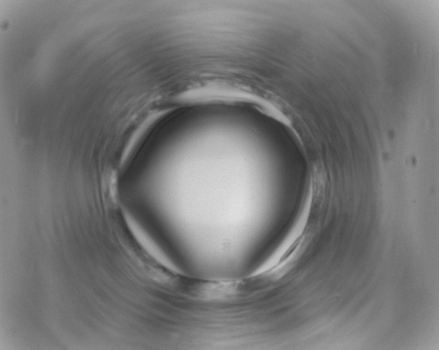 X0000070400094200606302022