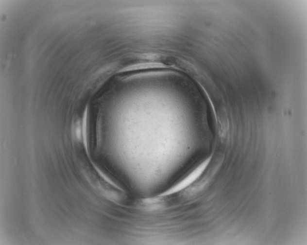 X0000070400095200606302022