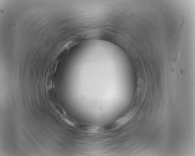 X0000070400096200606302022