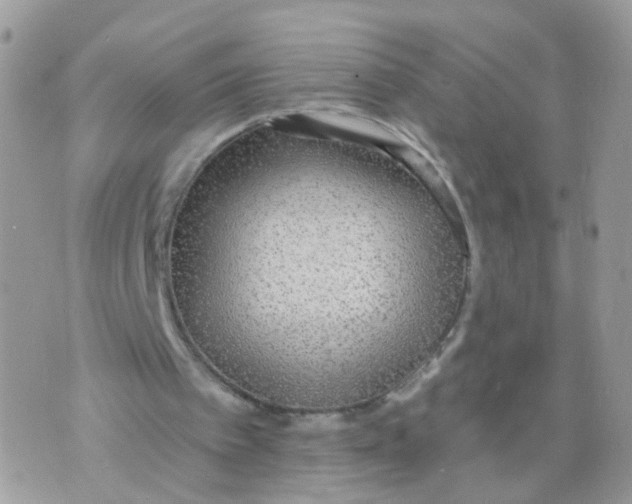 X0000070400097200606302021