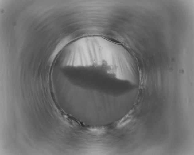 X0000070400099200606302021