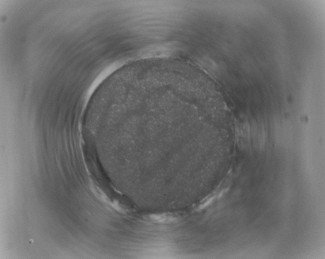 X0000070400100200606302021