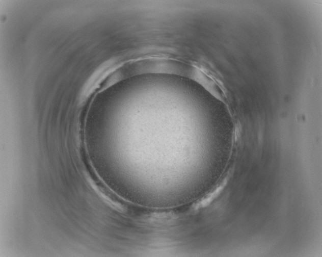 X0000070400101200606302021