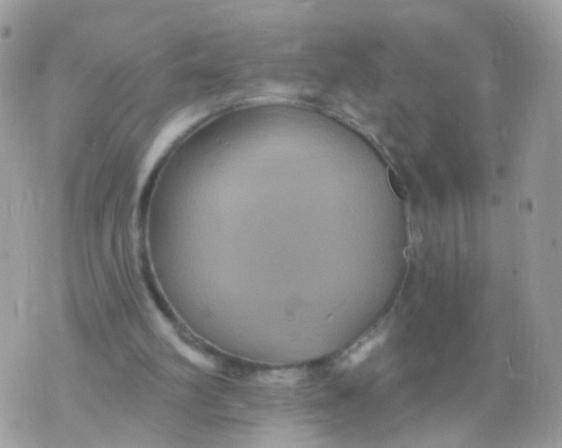 X0000070400102200606302021