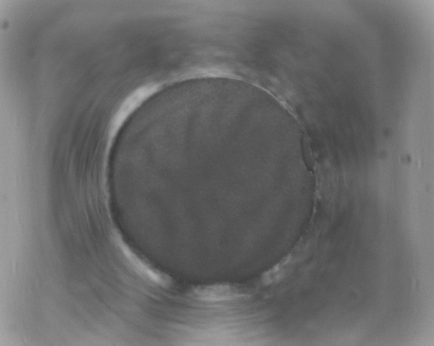 X0000070400104200606302021