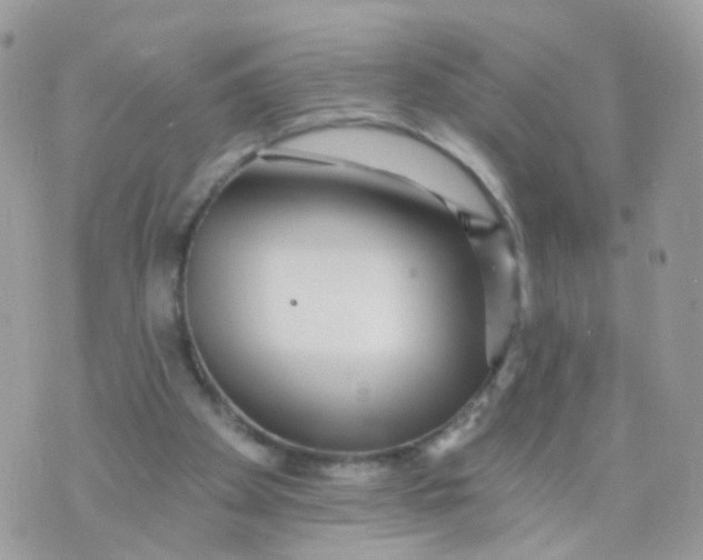 X0000070400105200606302021