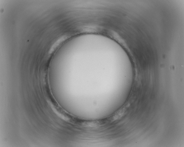 X0000070400106200606302021