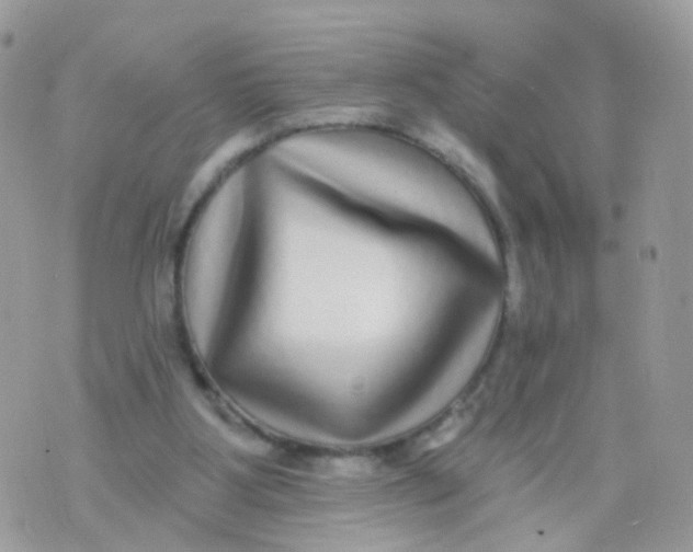 X0000070400107200606302021