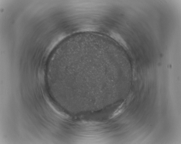 X0000070400108200606302021